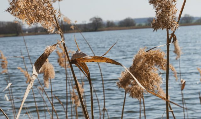 andre-klimke-aOInXQNQdpI-unsplash