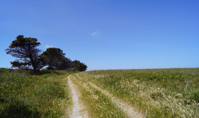 auriane-clement-_Xce7UaDJQc-unsplash